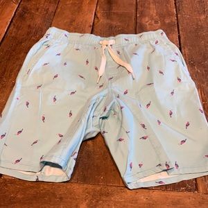 Summer fun toucan Bermuda shorts